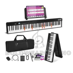 Roland GO:KEYS Portable Music Keyboard, Ohio